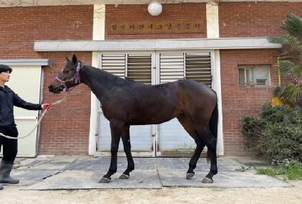 ������ġ�� ����