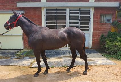 �����丮 ����