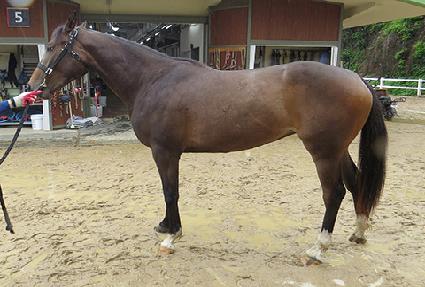 ��θ��� ����