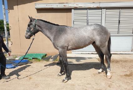 ������� ����