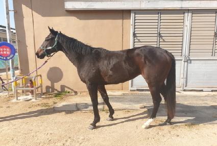 ���ӿ��� ����