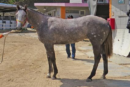 ������ ����