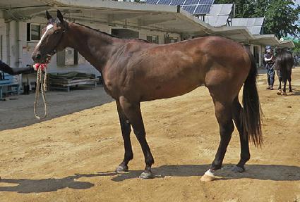 ����ȫ ����