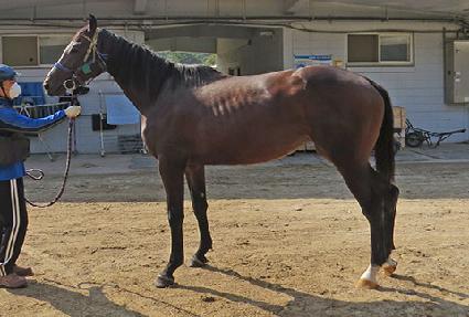 �Ѱ������ ����