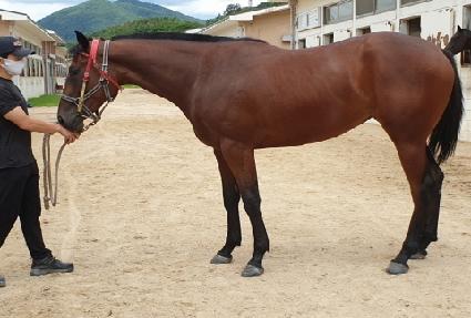 �����̼���Ƽ ����