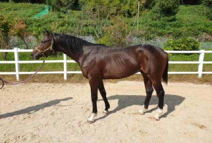 ��Ƽ��ũ ����