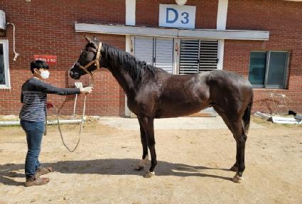 ��Ÿ��ƽ���� ����