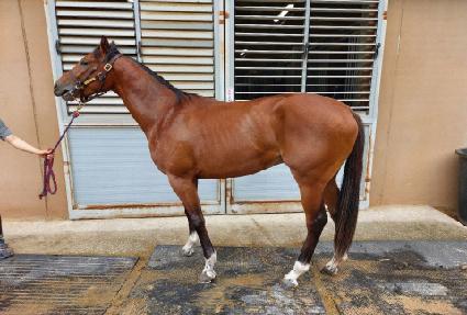 ������Ǹ� ����