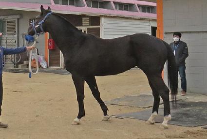 ī�캸��ŷ ����