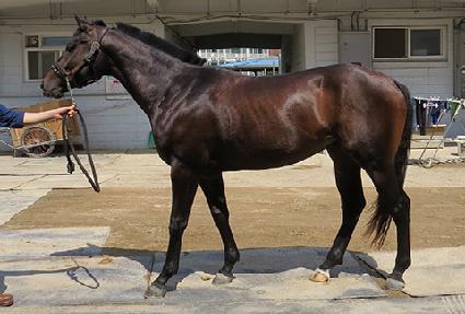 ��������� ����