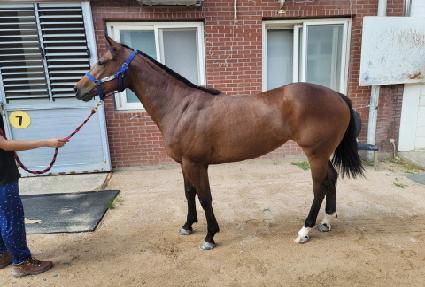 ��´��÷��� ����