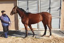 CONFIDENCE MARINE picture