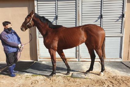 ���Ǵ������� ����