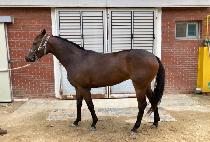 ���Ǽۼ� (HAPPY SONG SONG) ����