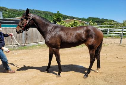 ������ ����