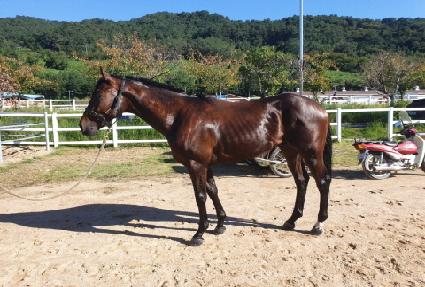 �������� ����