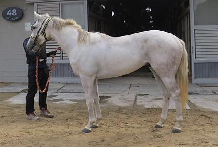 ȭ��ƮĹ ����