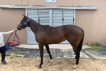 DO YOUR BEST picture