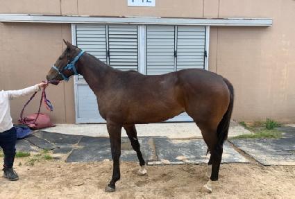 �������Ʈ ����