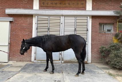 ���ӽ��ڽ� ����