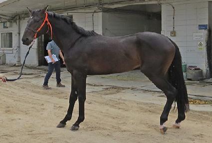 ī�̳� ����