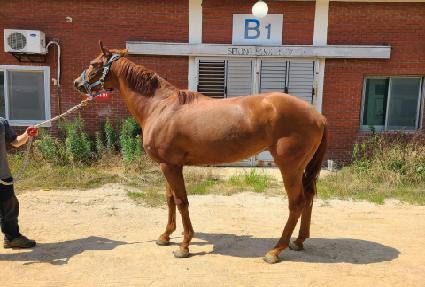 �׷����� ����