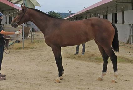 �ٿ���� ����