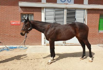 �����̼��� ����