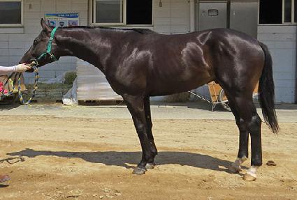 �����Ŀ�Ǯ ����