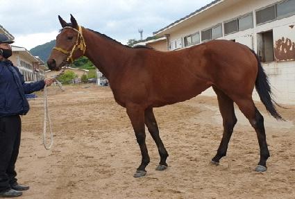 �޴Ͼ���� ����