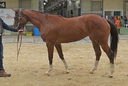 ��Ű���� ����