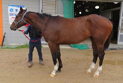 ���Ĺ��̹� ����