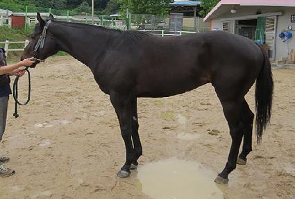 ��ֹ��� ����