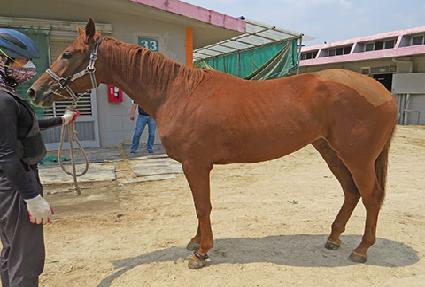 ��õ�� ����