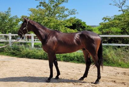 ����Ʈ��ũ ����