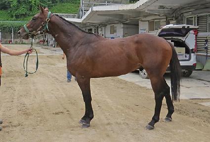 ���ʸ��� ����