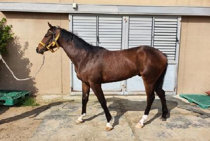 �����̽� ����