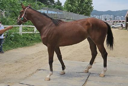 �����극�̽� ����