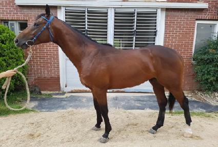 ���ֽ�Ÿ ����