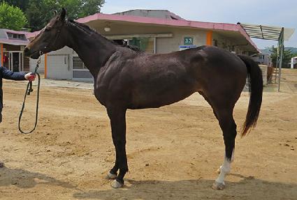 ���ǵ����� ����