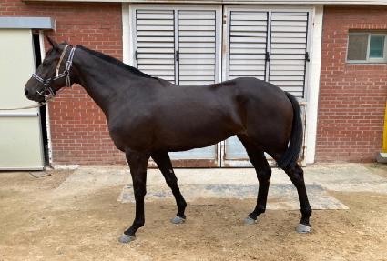 ����Ʈ���� ����