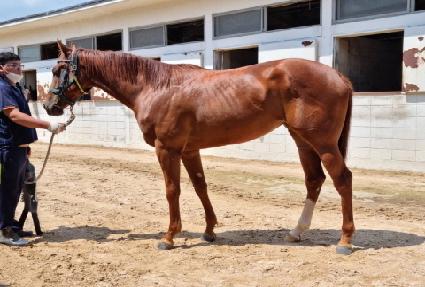 �ε������� ����