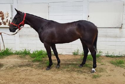 �۷������� ����