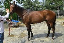 �̽���Ŭ���� (MR. CLEVER) ����