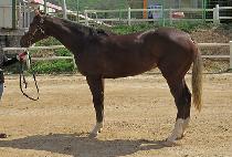 �н�ƮƮ�� (FAST TRACK) ����