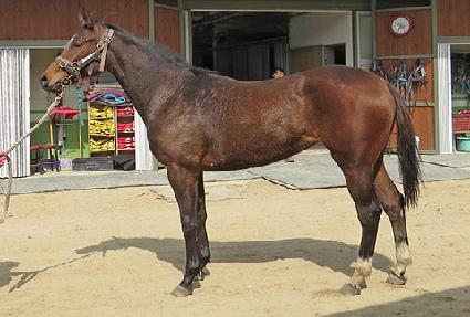 �˻��̸� ����