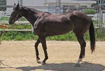 ���ö�� (BE FLOWER) ����