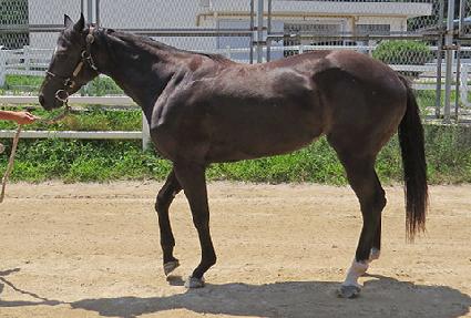 ���ö�� ����