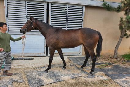 õ��̼� ����