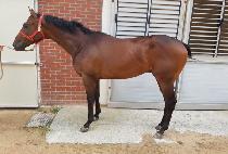 �强��� (JANGSEONG DAERO) ����